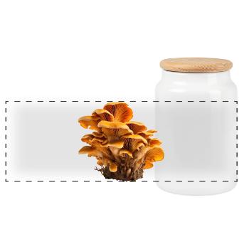 Chanterelles Orange Mushroom Colony Floral Pattern - Panoramic Cookie Jar with Wooden Lid - white - Front