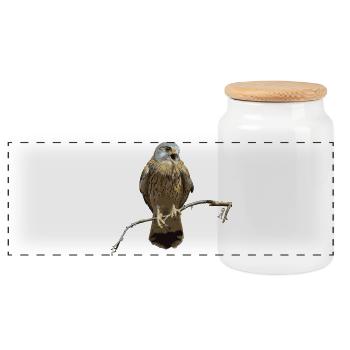 HGWild - Faucon de la tour - Boîte à biscuits avec couvercle en bois - blanc - Devant