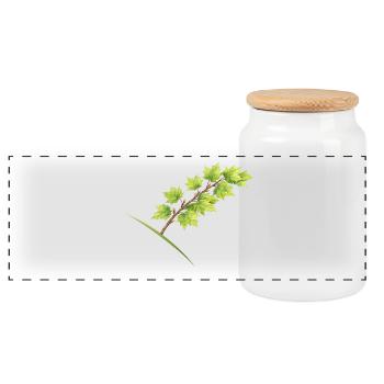 Érable à branche feuille - aquarelle - Boîte à biscuits avec couvercle en bois - blanc - Devant