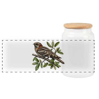 Nightjar | Caprimulgus ruficollis - Panorama Keksdose mit Holzdeckel - Weiß - Vorne