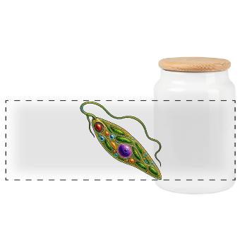 Euglena – Farbenfrohes Geißeltierchen Biologie - Panorama Keksdose mit Holzdeckel - Weiß - Vorne