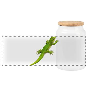 Gecko klettert 1 - Panorama Keksdose mit Holzdeckel - Weiß - Vorne