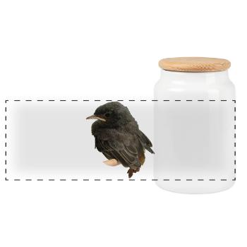 House redstart branch - Panoramic Cookie Jar with Wooden Lid - white - Front