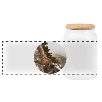 old gnarled tree on the Pacific Crest Trail - Panoramic Cookie Jar with Wooden Lid - white - Front