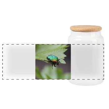 Cétoine dorée - Boîte à biscuits avec couvercle en bois - blanc - Devant