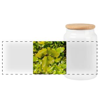 Mahonia / Warm autumn feeling - Panorama Keksdose mit Holzdeckel - Weiß - Vorne