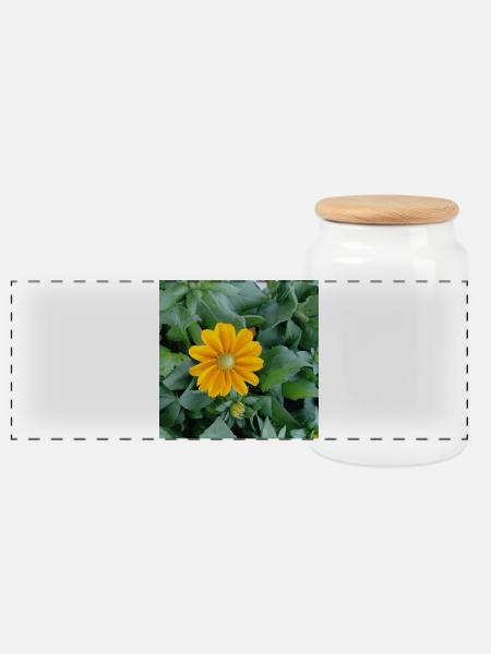Rauer Sonnenhut / gelbe Strahlenblüte - Panorama Keksdose mit Holzdeckel - Weiß
