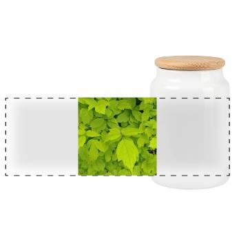 Ash maple / Acer negundo - Panoramic Cookie Jar with Wooden Lid - white - Front