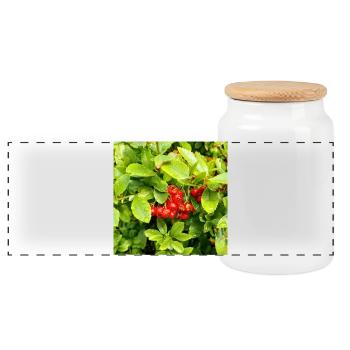 Mittelmeer Feuerdorn / Pyracantha coccinea - Panorama Keksdose mit Holzdeckel - Weiß - Vorne