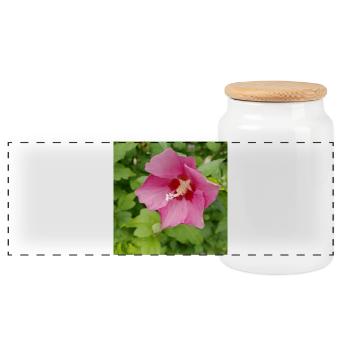 Hibiscus rose (guimauve arbustive) - Boîte à biscuits avec couvercle en bois - blanc - Devant