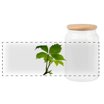 Junges Blattwerk – Grüner Blattzweig - Panorama Keksdose mit Holzdeckel - Weiß - Vorne