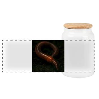 Animals - Days - Panoramic Cookie Jar with Wooden Lid - white - Front