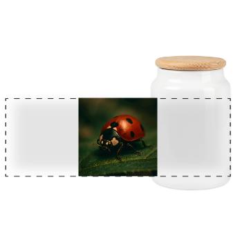 Animaux - Coccinelle - Boîte à biscuits avec couvercle en bois - blanc - Devant