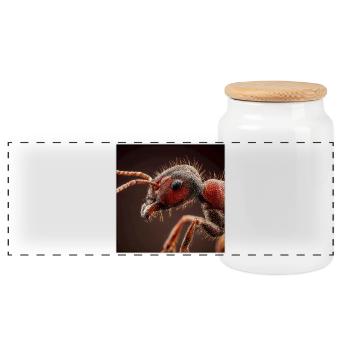 Portrait macro réaliste de la faune des fourmis - Boîte à biscuits avec couvercle en bois - blanc - Devant