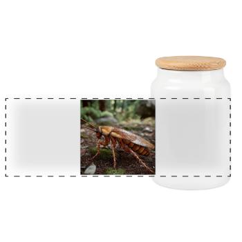 Realistische Kakerlake – Makro Insekt Design - Panorama Keksdose mit Holzdeckel - Weiß - Vorne