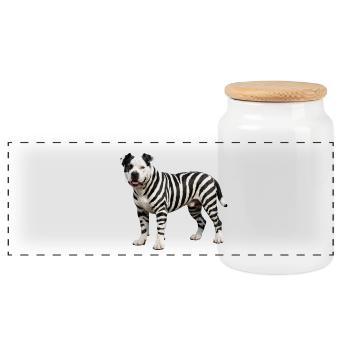 Pitbull im Zebra-Look: Cooles Urban Hybrid Design - Panorama Keksdose mit Holzdeckel - Weiß - Vorne
