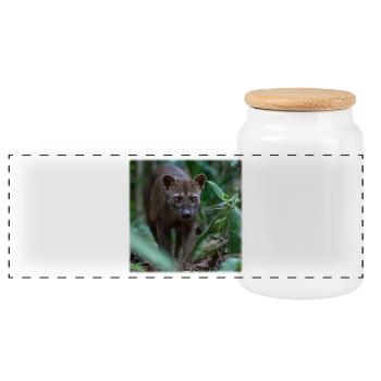 Fossa – Chasse silencieuse dans la forêt tropicale - Boîte à biscuits avec couvercle en bois - blanc - Devant