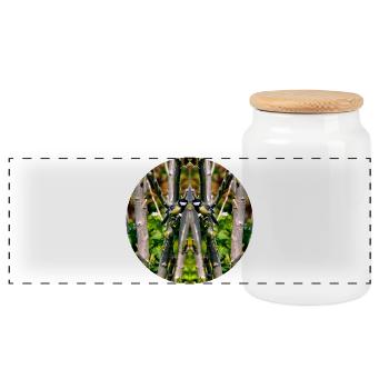 Nature Mandala Spring in City Park - Panoramic Cookie Jar with Wooden Lid - white - Front