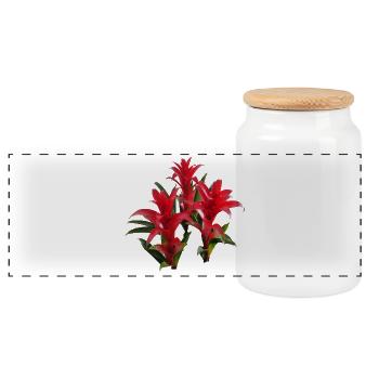 Vibrant_Red_Bromeliads - Panoramic Cookie Jar with Wooden Lid - white - Front