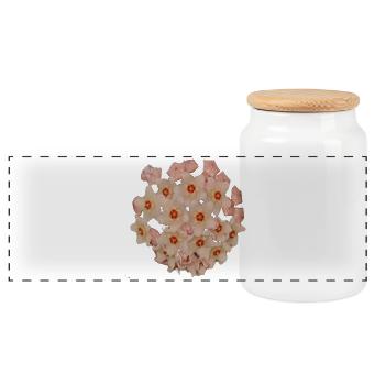 Pink_Hoya_Carnosa_Bloom - Panorama Keksdose mit Holzdeckel - Weiß - Vorne