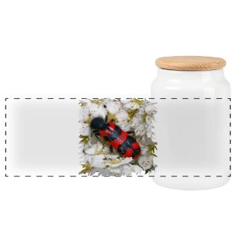 Beewolf aime manger les larves d’abeille - Boîte à biscuits avec couvercle en bois - blanc - Devant