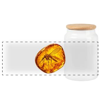 Mosquito in Amber - Boîte à biscuits avec couvercle en bois - blanc - Devant