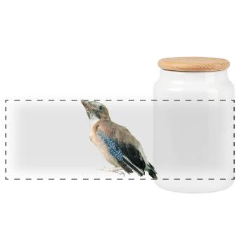 Geai jeune oiseau - Boîte à biscuits avec couvercle en bois - blanc - Devant