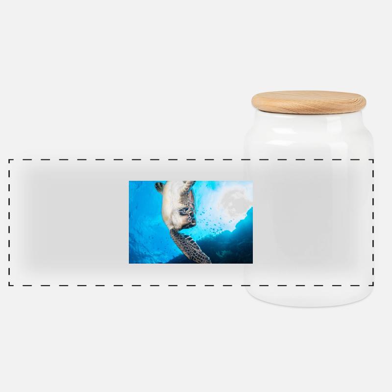 Turtle - Panoramic Cookie Jar with Wooden Lid - white
