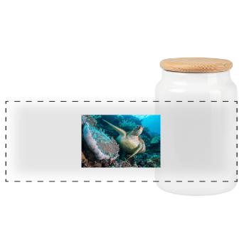 Schildkröte - Panorama Keksdose mit Holzdeckel - Weiß - Vorne