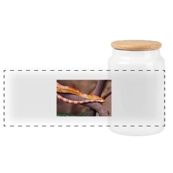 corn snake also red rat snake (Kornnatter) - Panoramic Cookie Jar with Wooden Lid - white - Front