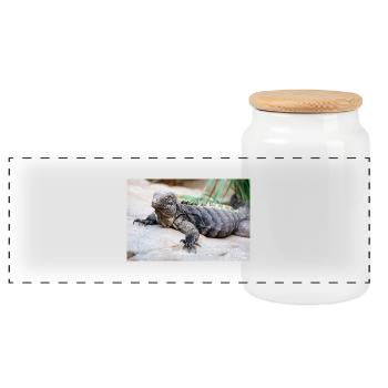 Cuban rock iguana also Cuban ground iguana - Panoramic Cookie Jar with Wooden Lid - white - Front