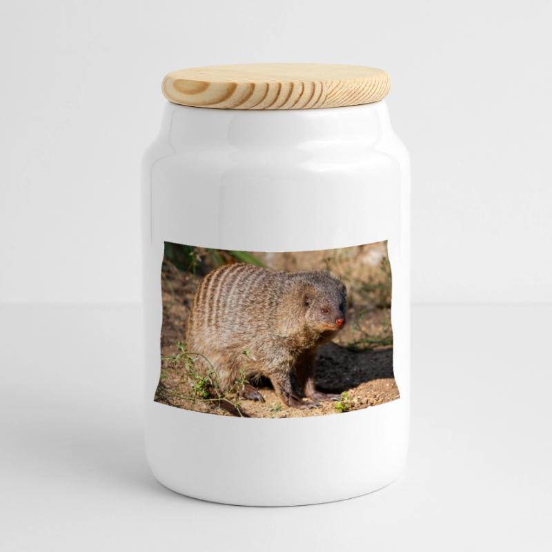 Gebänderte Manguste oder Zebramanguste Zebramanguste Panorama Keksdose mit Holzdeckel