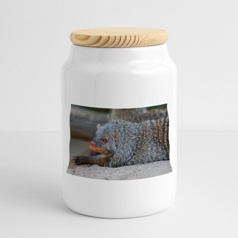 Gebänderte Manguste oder Zebramanguste Zebramanguste Panorama Keksdose mit Holzdeckel