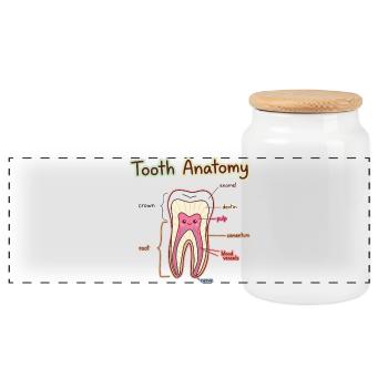 Tooth Anatomy Dental Assistant Dentist - Panoramic Cookie Jar with Wooden Lid - white - Front
