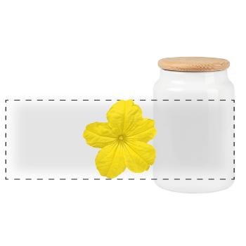 Cucumber flower - Panoramic Cookie Jar with Wooden Lid - white - Front