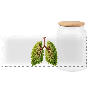 Lunge Natur Baum Design - Panorama Keksdose mit Holzdeckel - Weiß - Vorne