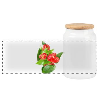 Rote Anthurien Floraledition - Panorama Keksdose mit Holzdeckel - Weiß - Vorne