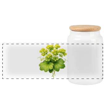 Frauenmantel Pflanze mit Blüten  - Panorama Keksdose mit Holzdeckel - Weiß - Vorne