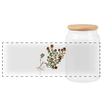 kraeuter rosmarin petersilie thymian dill oregano - Panorama Keksdose mit Holzdeckel - Weiß - Vorne