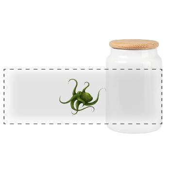 OCTOPUS mit Signatur - Panorama Keksdose mit Holzdeckel - Weiß - Vorne