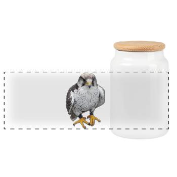 Magnifique Portrait du Faucon Estampe - Boîte à biscuits avec couvercle en bois - blanc - Devant