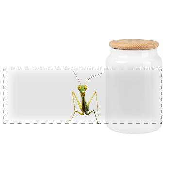 Gottesanbeterin Praying Mantis Liebe Fangschrecken - Panorama Keksdose mit Holzdeckel - Weiß - Vorne
