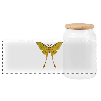 Comet Moth Argema mittrei - Panoramic Cookie Jar with Wooden Lid - white - Front