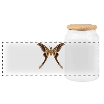 Hercule de nuit Coscinocera hercules - Boîte à biscuits avec couvercle en bois - blanc - Devant