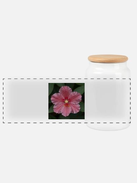 Rosa Hibiskusblüte Nahaufnahme - Panorama Keksdose mit Holzdeckel - Weiß