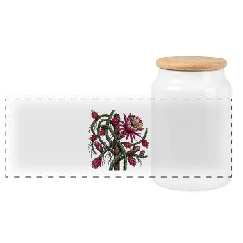 Pitaya-Kletterpflanze in Blüte – Botanische Zeichnung - Panorama Keksdose mit Holzdeckel - Weiß - Vorne