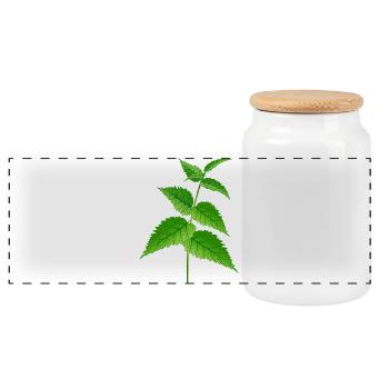The nettle super plant and remedy - Panoramic Cookie Jar with Wooden Lid - white - Front