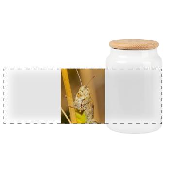 Macrophotographie d’une sauterelle en détails - Boîte à biscuits avec couvercle en bois - blanc - Devant