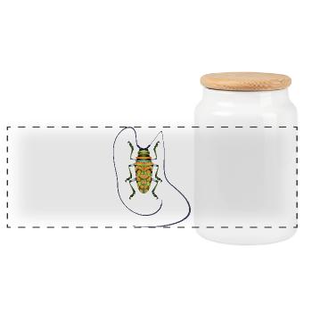 Sternotomis pulchra, espèce de coléoptère, insecte, orange, vert - Boîte à biscuits avec couvercle en bois - blanc - Devant