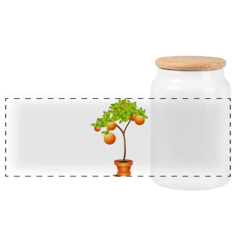 Petit oranger en pot de fleurs - Boîte à biscuits avec couvercle en bois - blanc - Devant